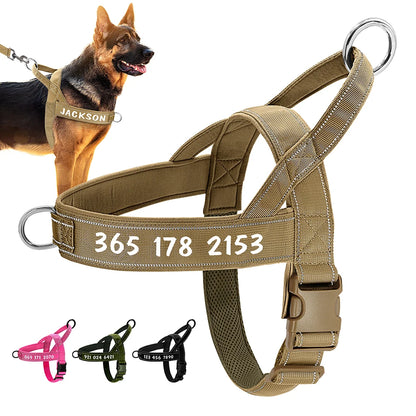 Dog Military Tactical