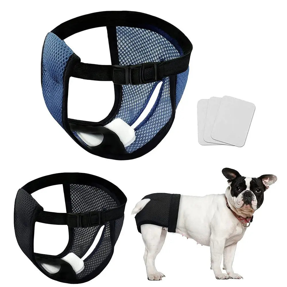 Breathable, Reusable Dog Diapers with Washable Pads