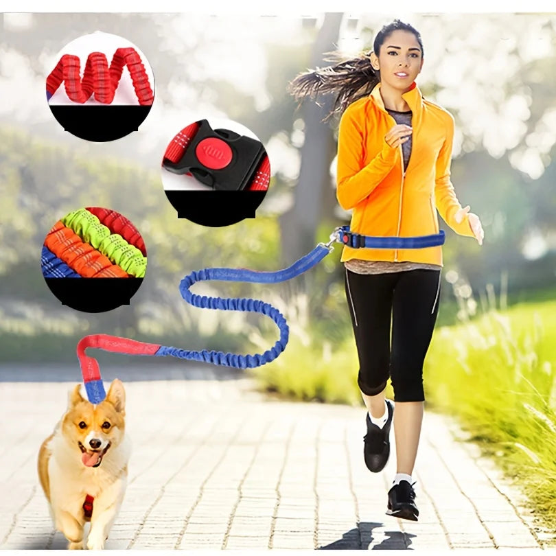 Hands-free walks and runs with our Dog Collar Retractable Bungee