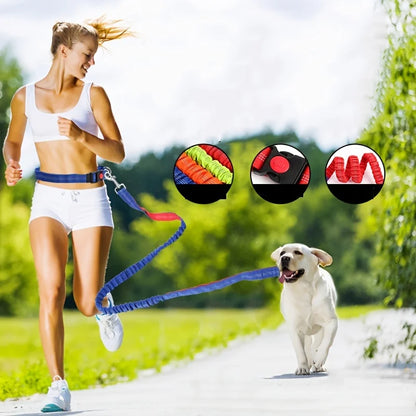 Hands-free walks and runs with our Dog Collar Retractable Bungee