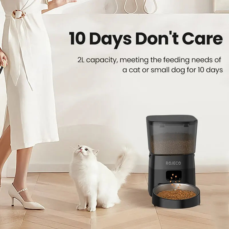 Auto Cat Food Dispenser