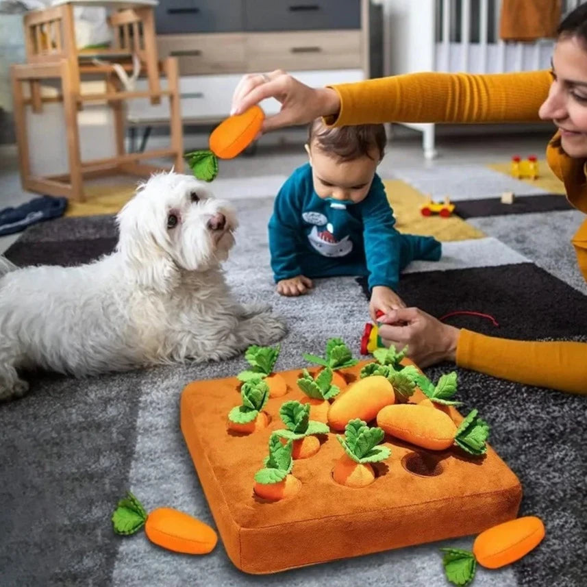 Carrot Snuffle Mat