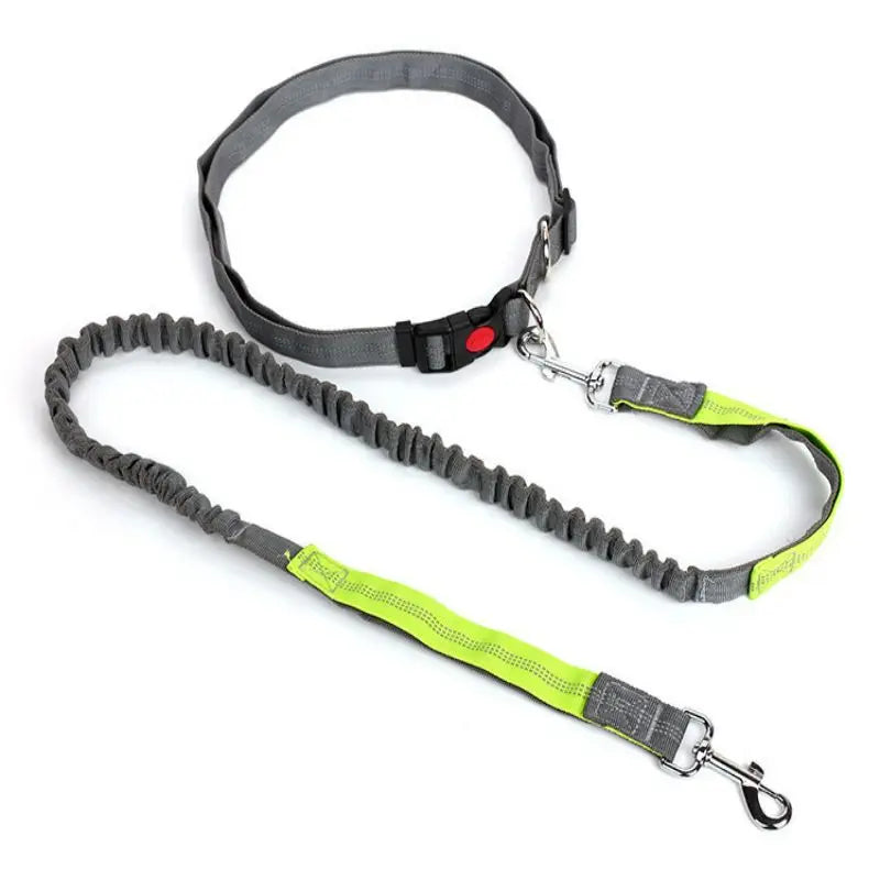 Hands-free walks and runs with our Dog Collar Retractable Bungee