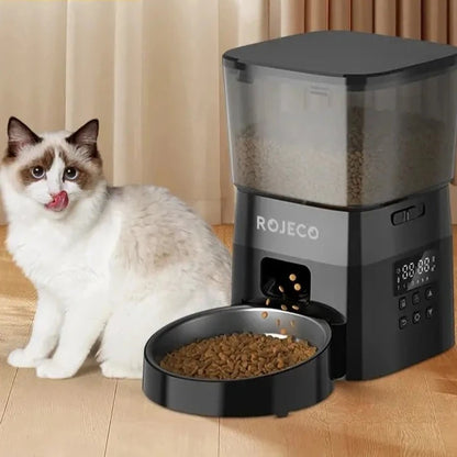 Auto Cat Food Dispenser