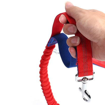 Hands-free walks and runs with our Dog Collar Retractable Bungee