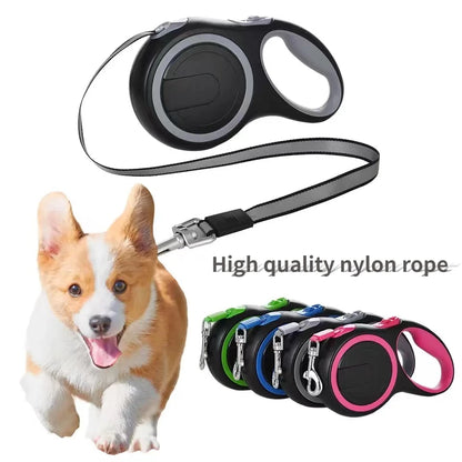 Big small Dog Leash