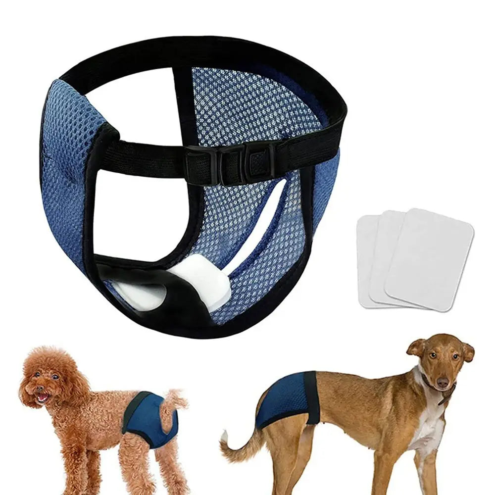 Breathable, Reusable Dog Diapers with Washable Pads